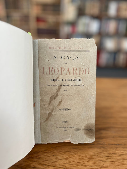 Á CAÇA DO LEOPARDO