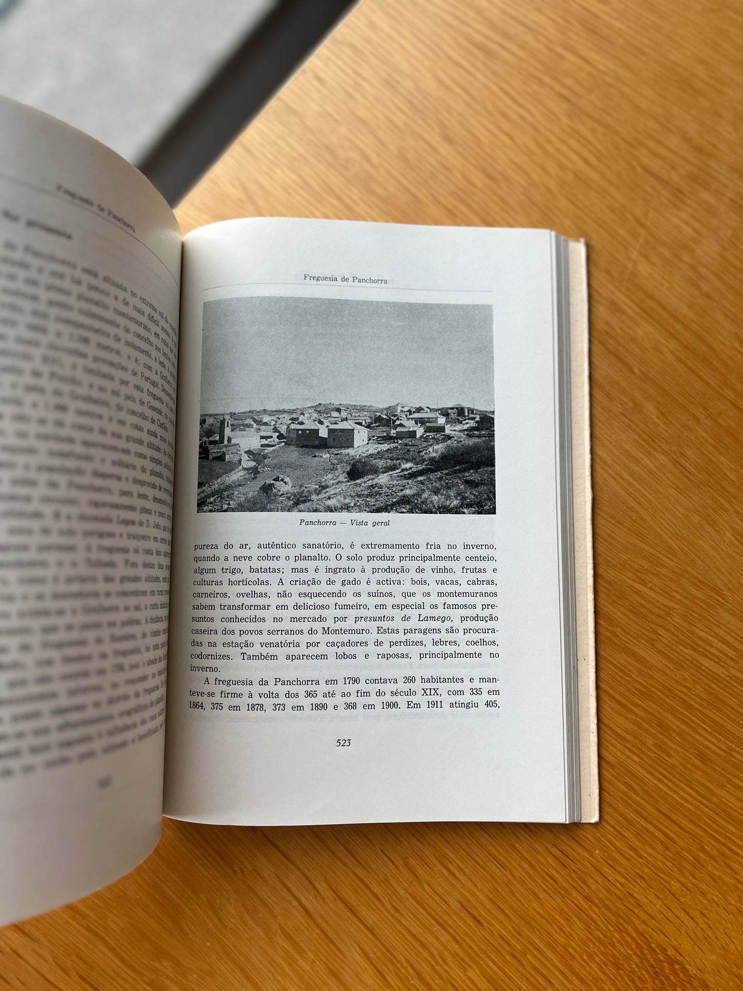 RESENDE, MONOGRAFIA DO SEU CONCELHO