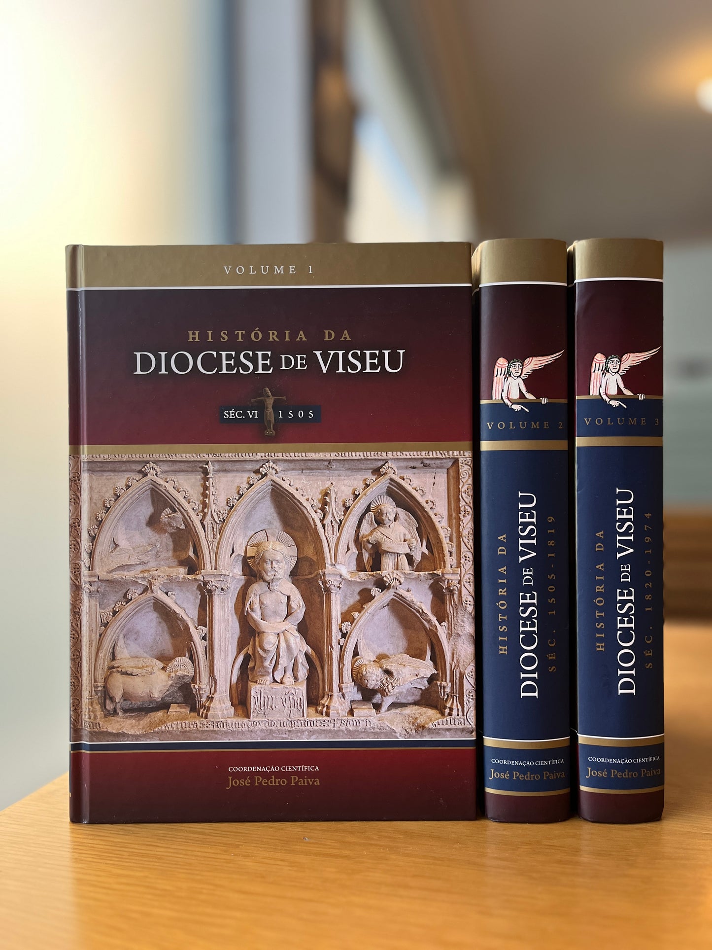 HISTÓRIA DA DIOCESE DE VISEU