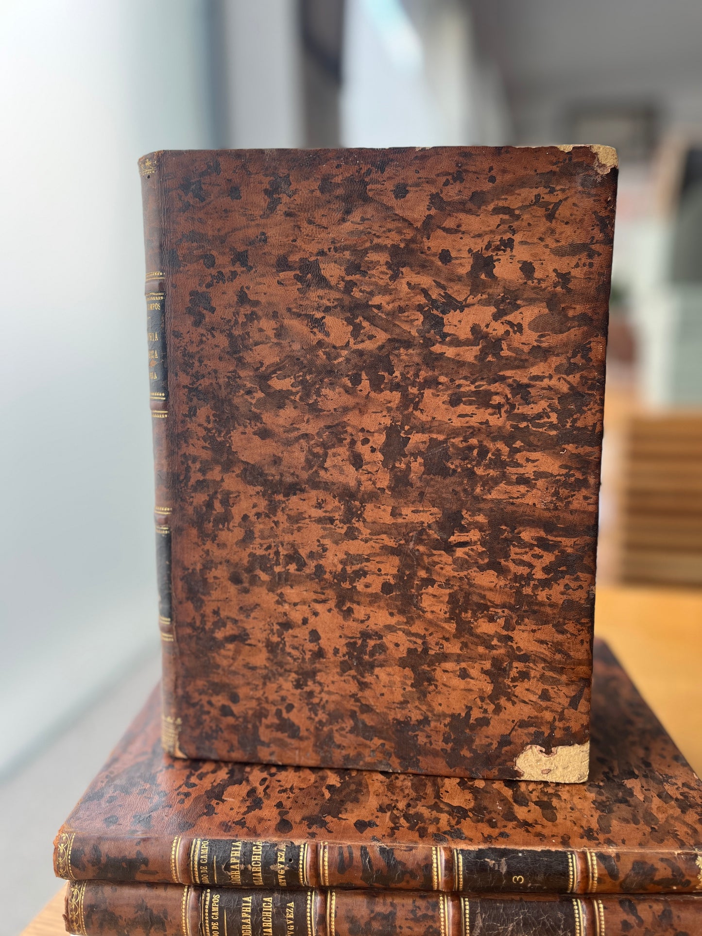 BIBLIOGRAPHIA NOBILIARCHICA PORTUGUEZA