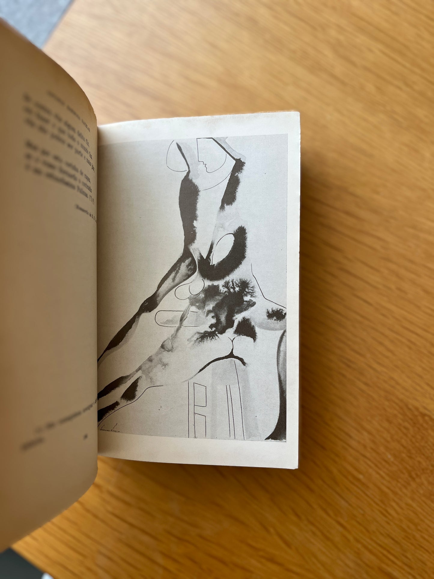 ANTOLOGIA DE POESIA PORTUGUESA ERÓTICA E SATÍRICA