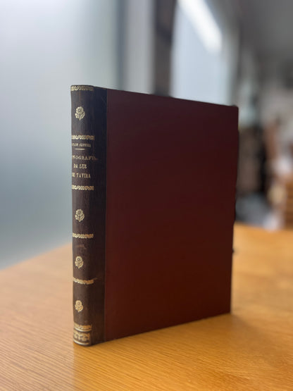 MONOGRAFIA DA LUZ DE TAVIRA