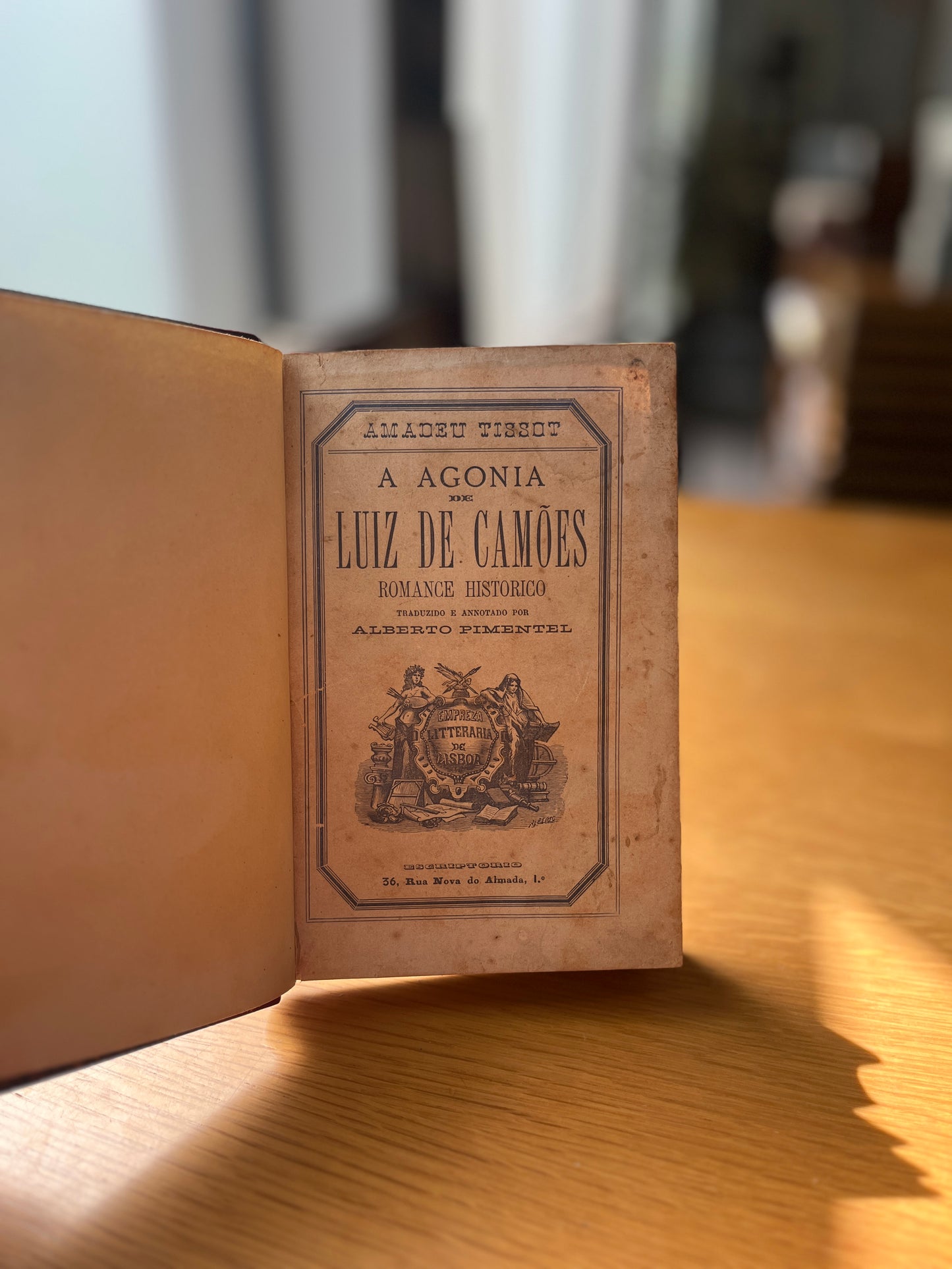 A AGONIA DE LUIZ DE CAMÕES