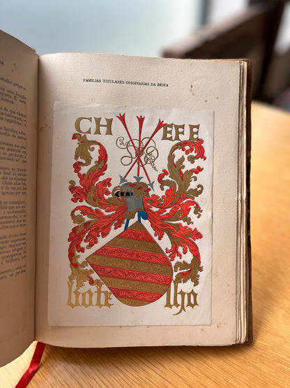 APONTAMENTOS PARA A HISTORIA DE ALGUMAS FAMILIAS ORIGINARIAS DA BEIRA