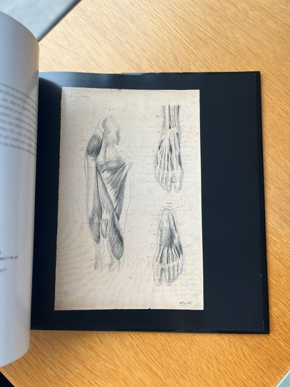 ANATOMIA, ARTE & CIÊNCIA