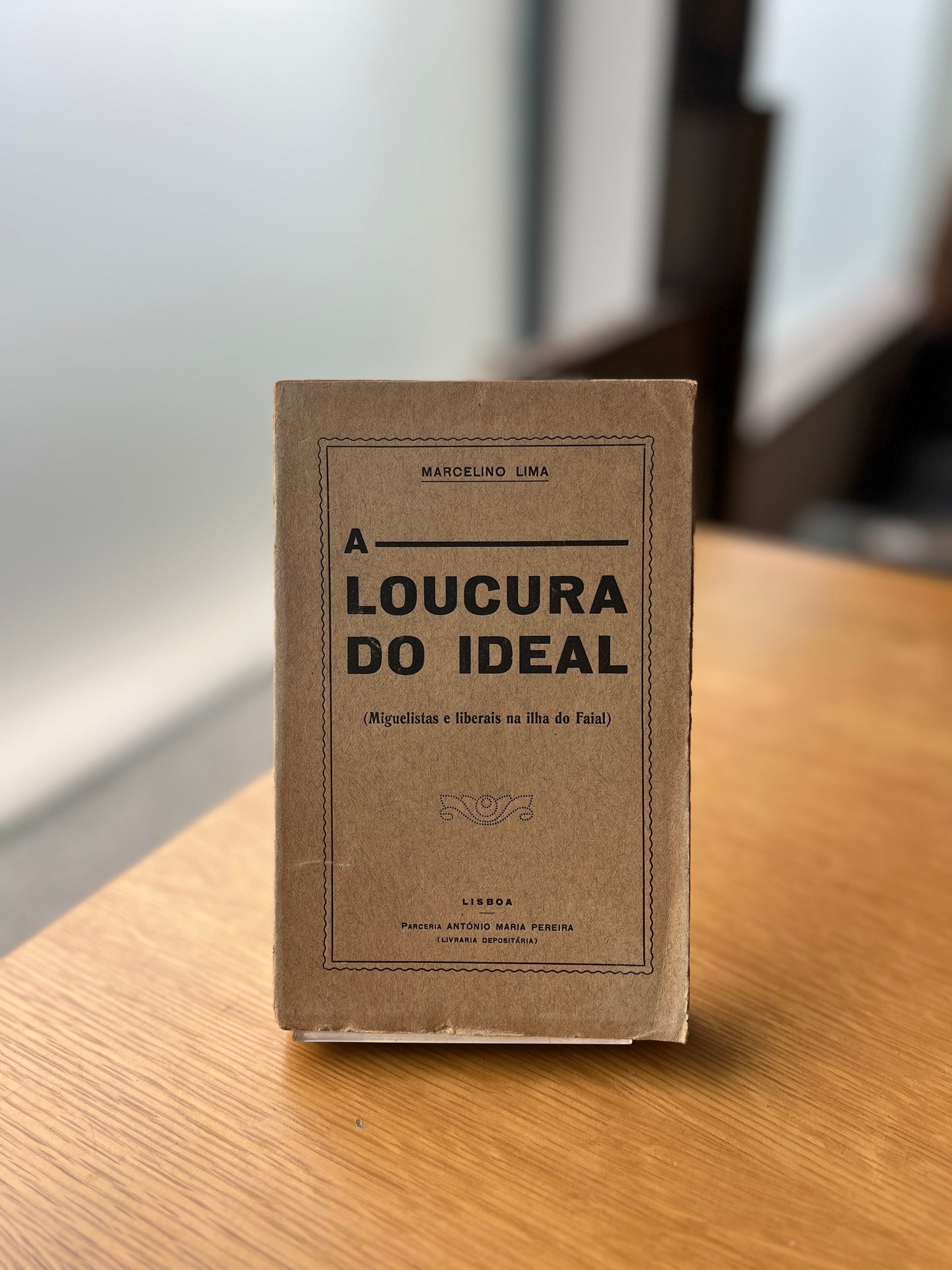 A LOUCURA DO IDEAL