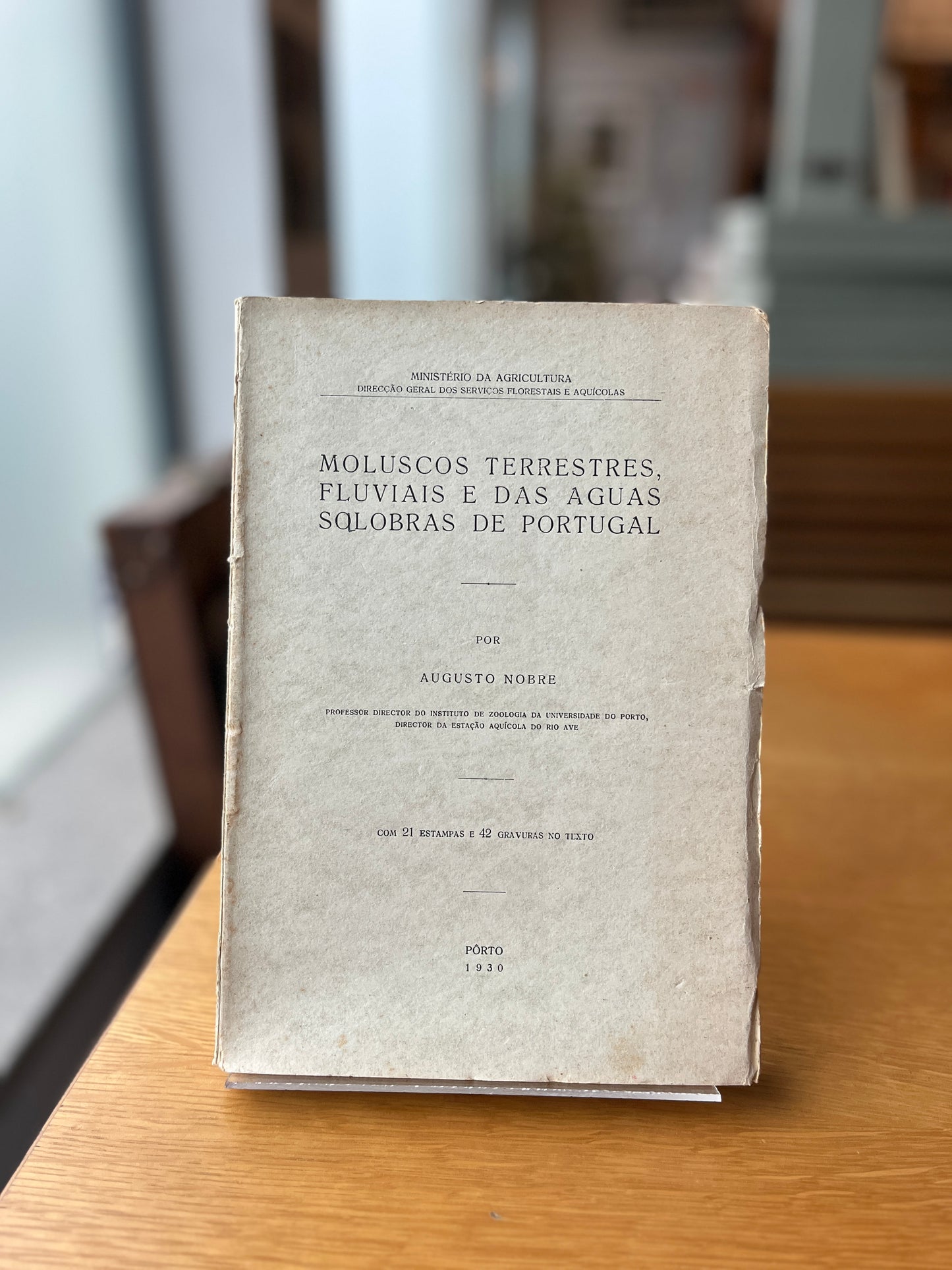 MOLUSCOS TERRESTRES, FLUVIAIS E DAS AGUAS SOLOBRAS DE P0RTUGAL