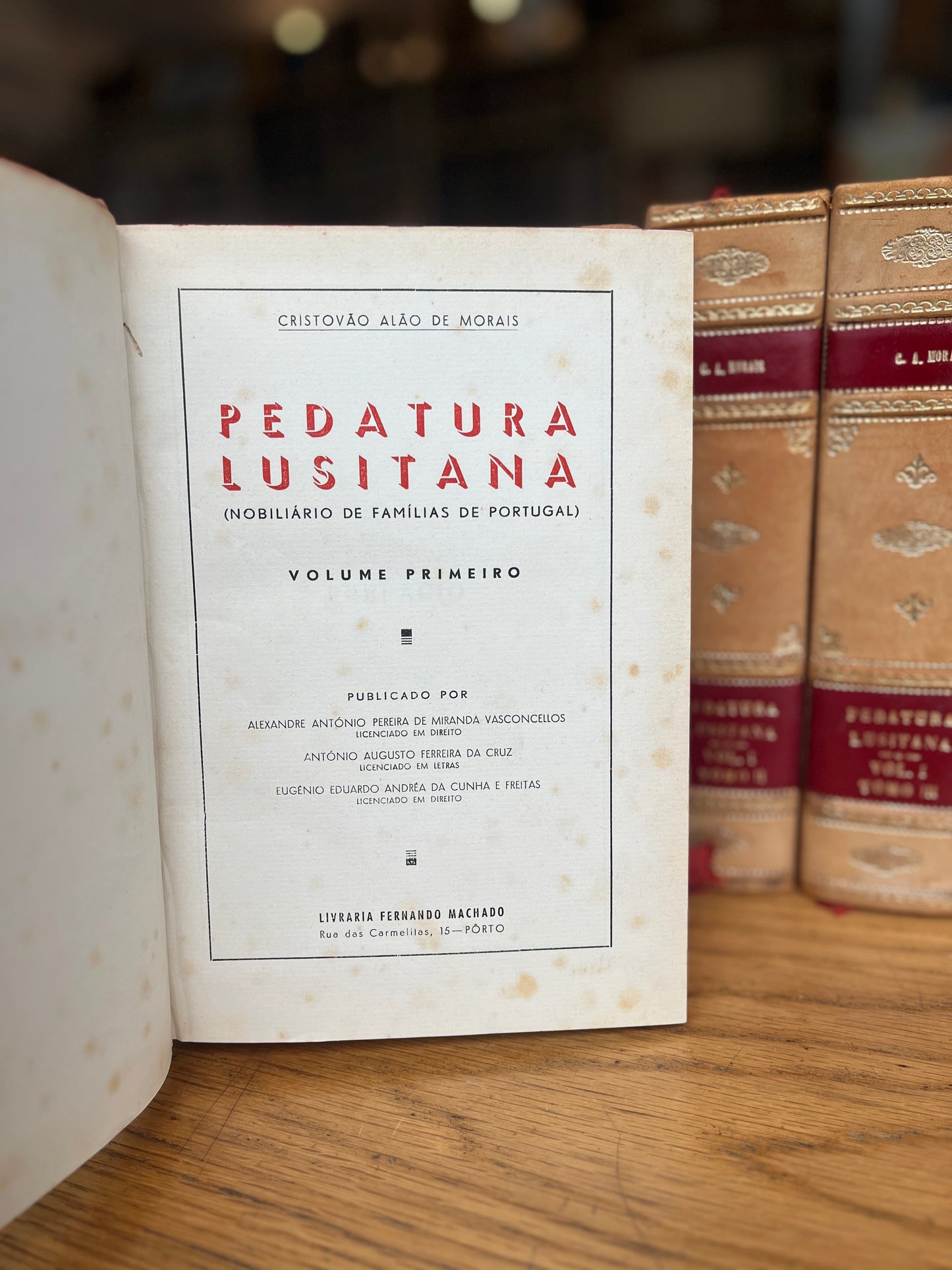 PEDATURA LUSITANA