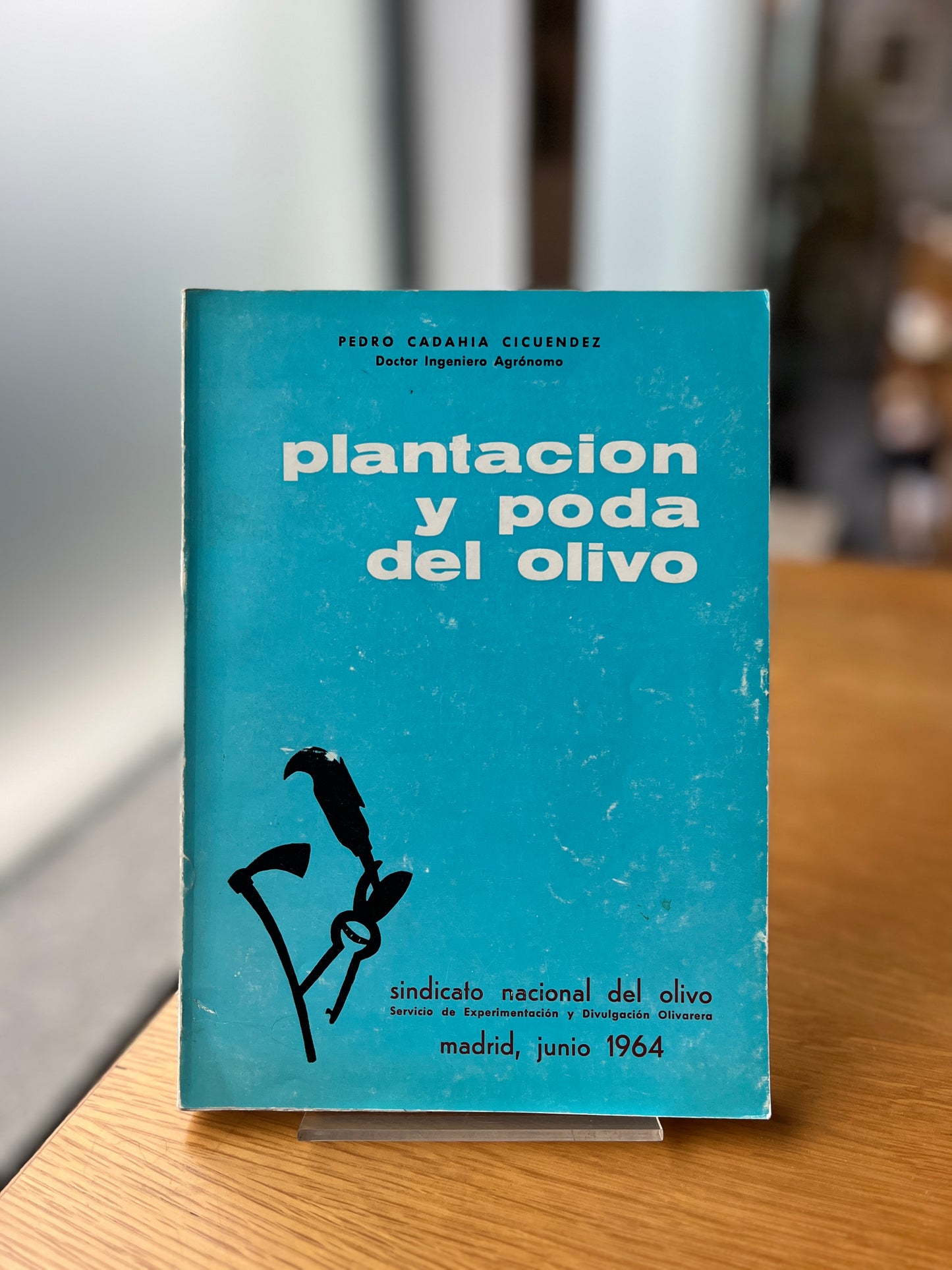 PLANTACION Y PODA DEL OLIVO