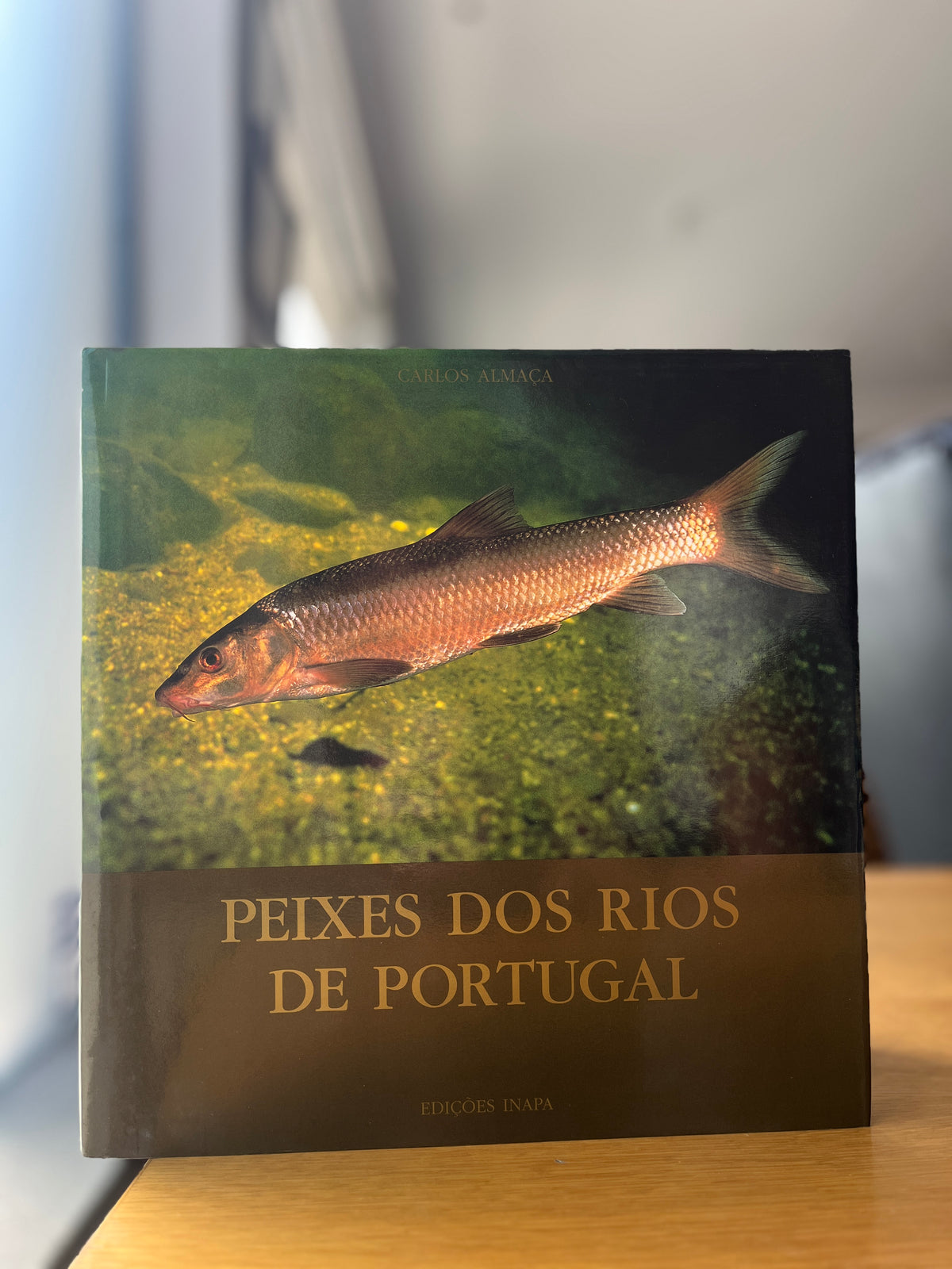 PEIXES DOS RIOS DE PORTUGAL
