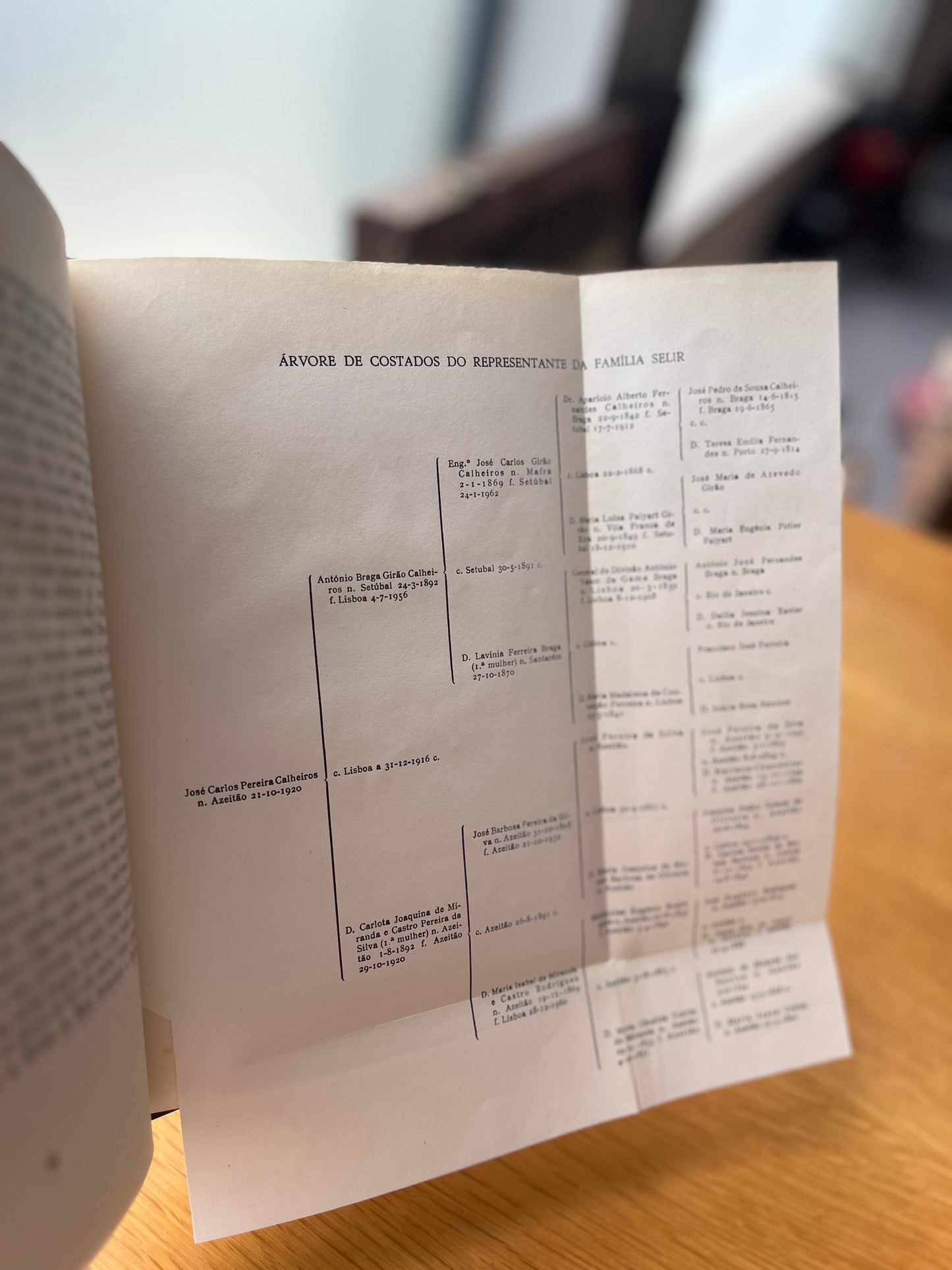 OS DOIS MORGADIOS DE SELIR