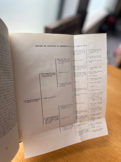 OS DOIS MORGADIOS DE SELIR