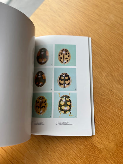REVISÃO DOS COCCINELÍDEOS DE PORTUGAL