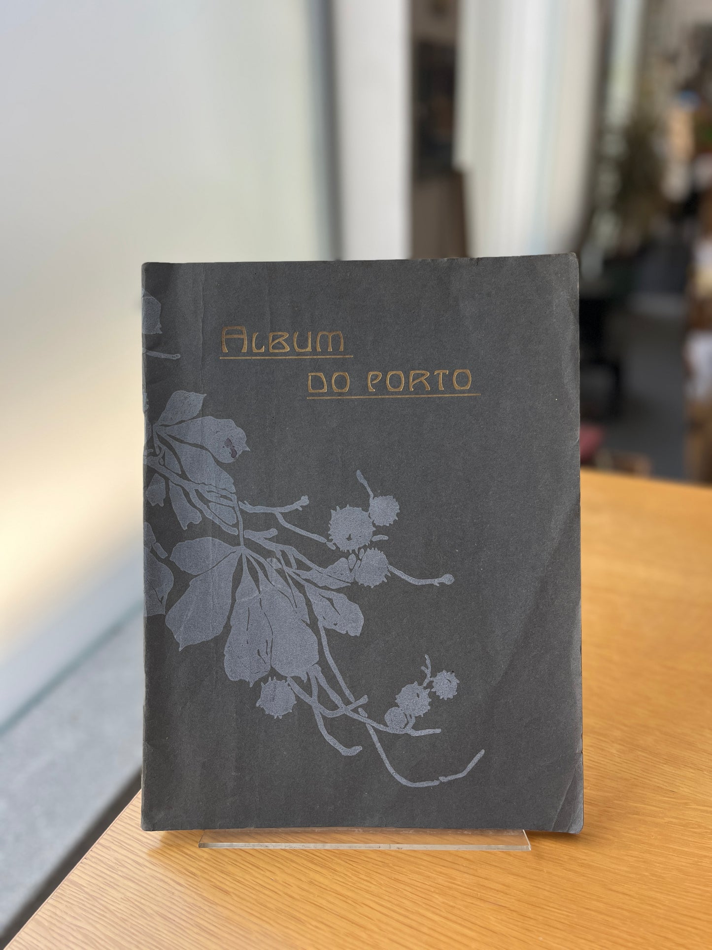 ALBUM DO PORTO