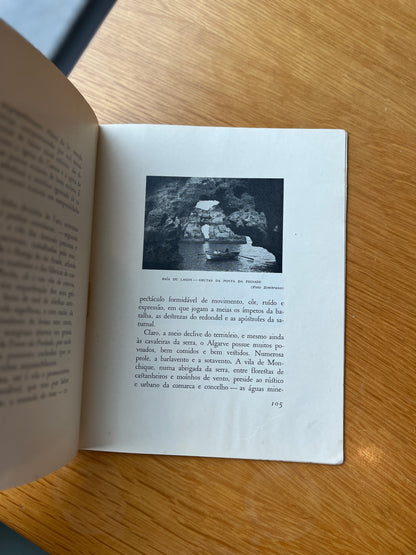 MAPA FALADO DE PORTUGAL