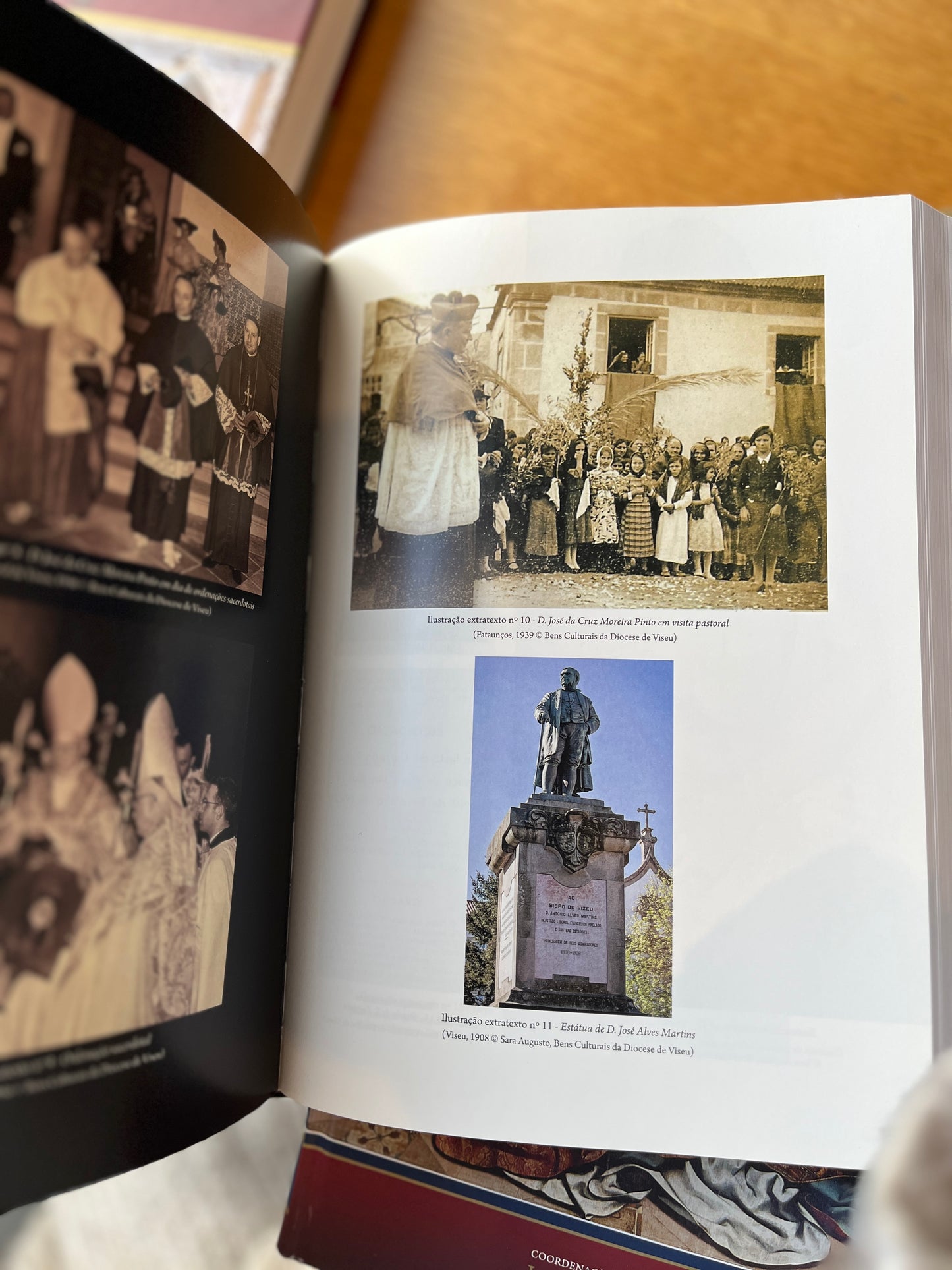 HISTÓRIA DA DIOCESE DE VISEU