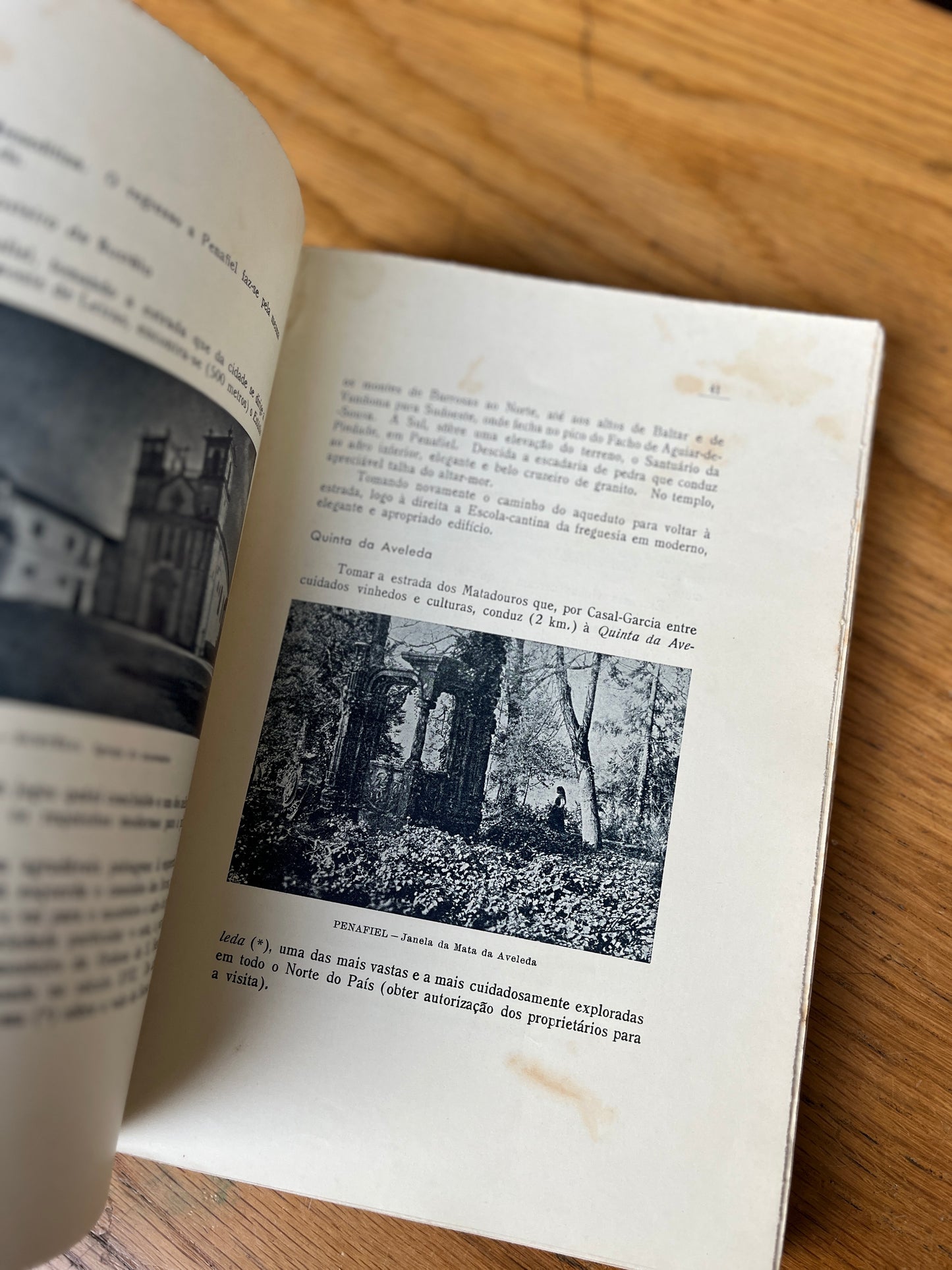 CÂMARA MUNICIPAL DE PENAFIEL