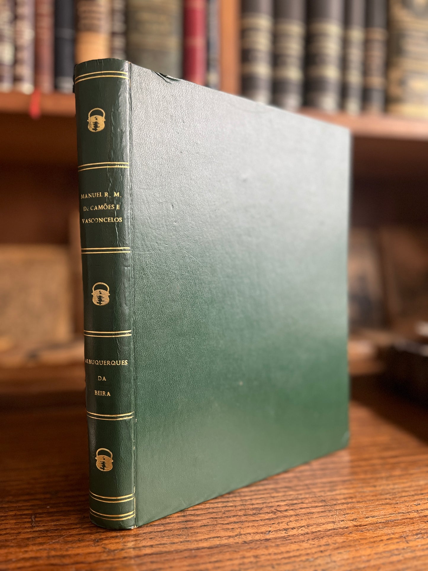 ALBUQUERQUES DA BEIRA - SUBSÍDIOS PARA A SUA GENEALOGIA