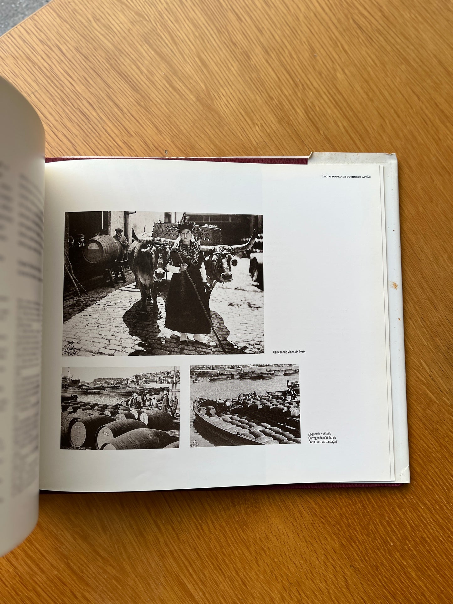 O DOURO DE DOMINGOS ALVÃO