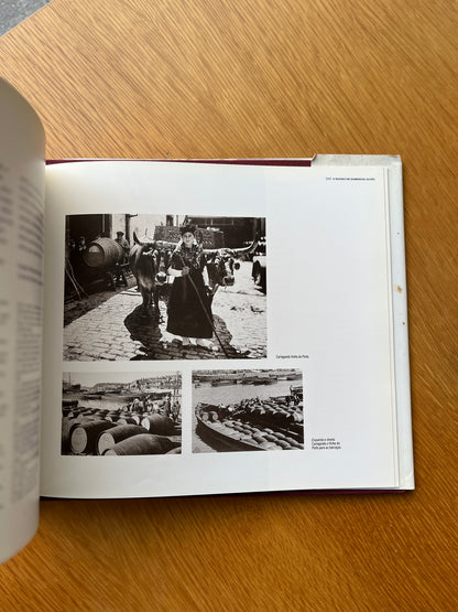 O DOURO DE DOMINGOS ALVÃO