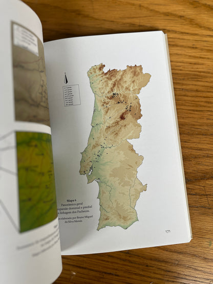 FERREIRA DE AVES MEDIEVAL