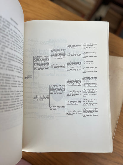 BRASÕES DA SALA DE SINTRA