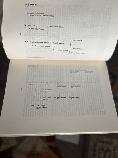 PEIXOTOS - SUBSÍDIOS PARA A SUA GENEALOGIA