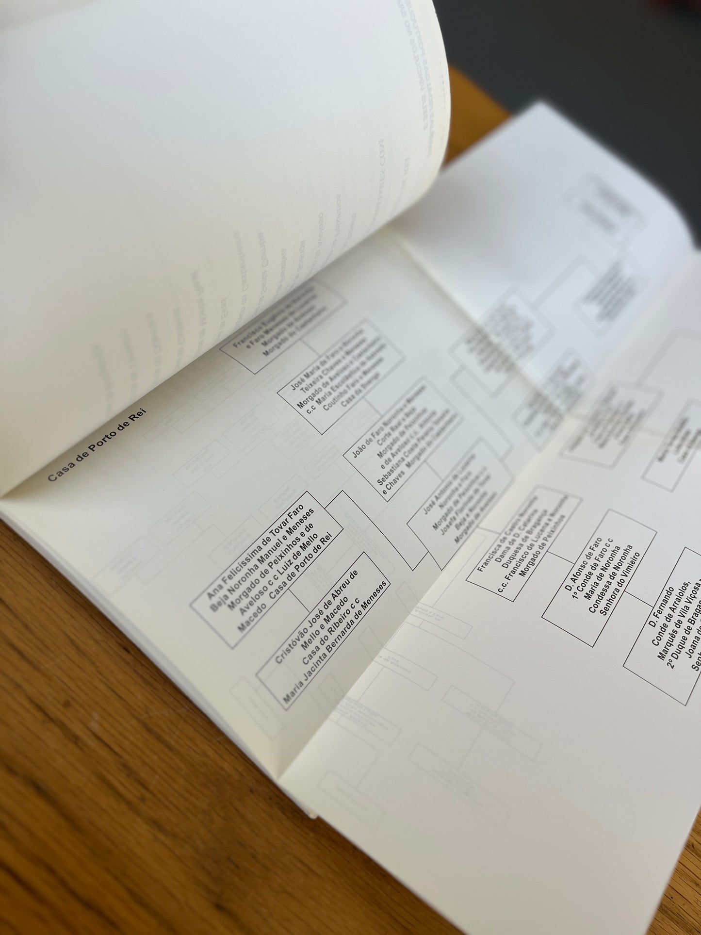 FAMÍLIAS FIDALGAS PORTUGUESAS E SEUS VÍNCULOS NO BRASIL