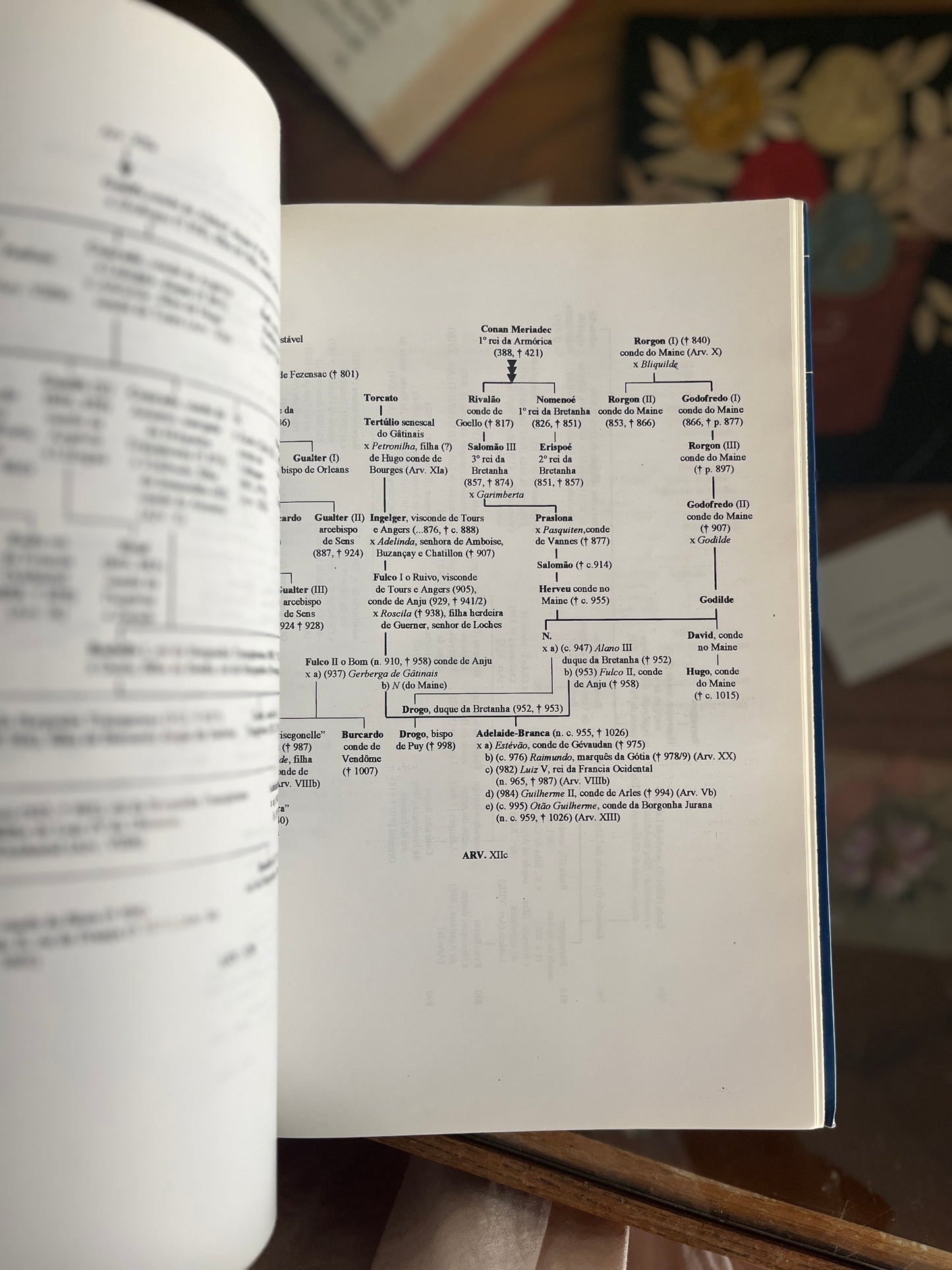 A HERANÇA GENÉTICA DE D. AFONSO HENRIQUES