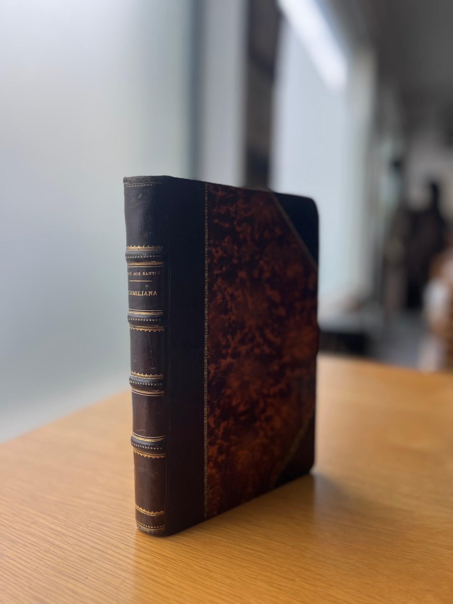 DESCRIÇÃO BIBLIOGRÁFICA DA MAIS IMPORTANTE E VALIOSA CAMILIANA