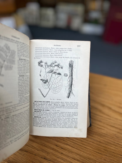 FORMULARIO E GUIA MEDICO