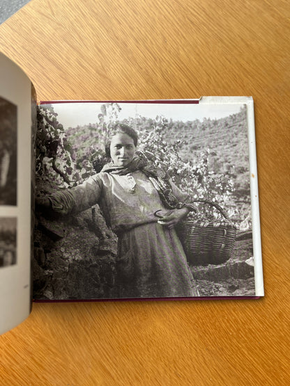 O DOURO DE DOMINGOS ALVÃO