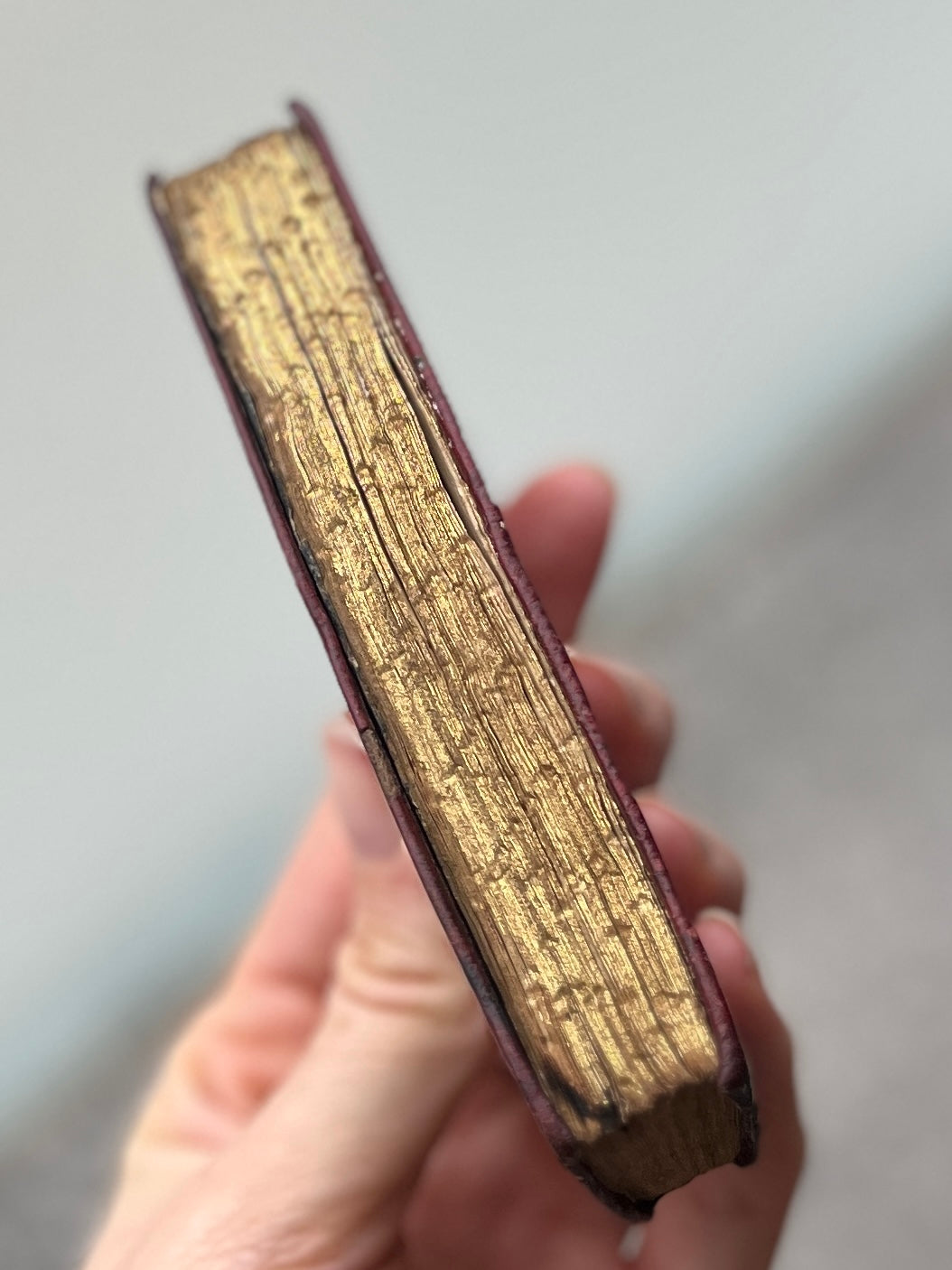 DIARIO ECCLESIASTICO PARA O REINO DE PORTUGAL