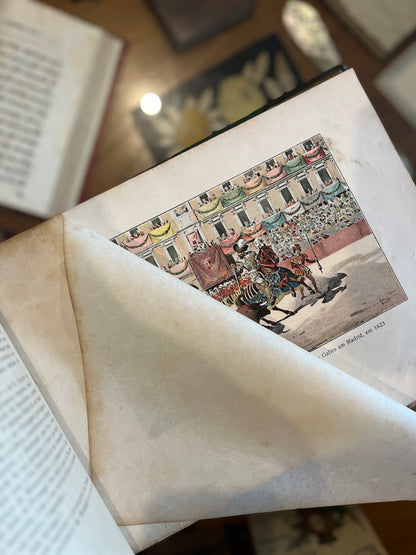 HISTÓRIA DAS TOIRADAS