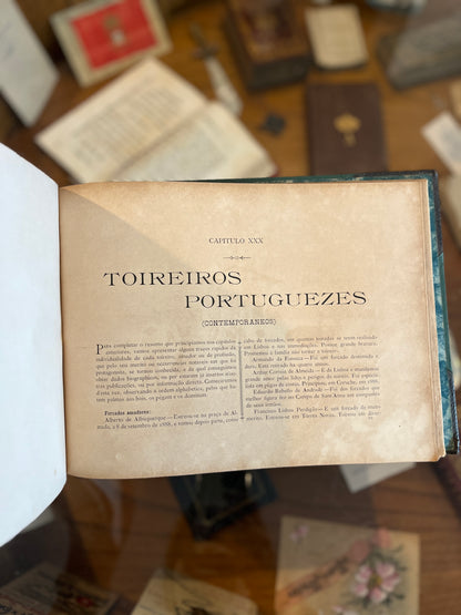 HISTÓRIA DAS TOIRADAS