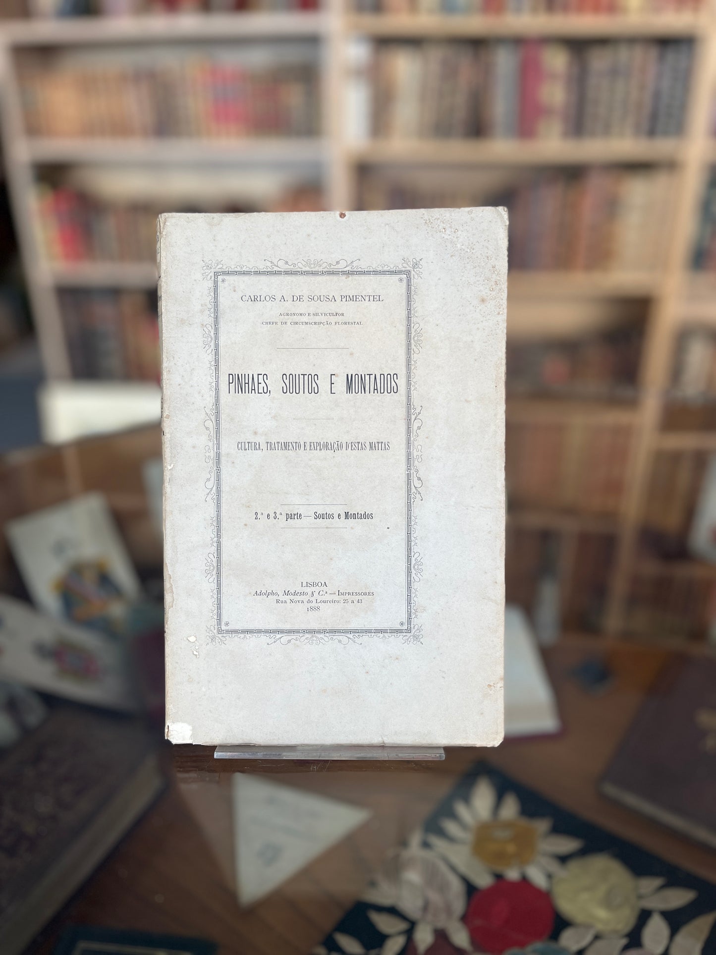 PINHAES, SOUTOS E MONTADOS