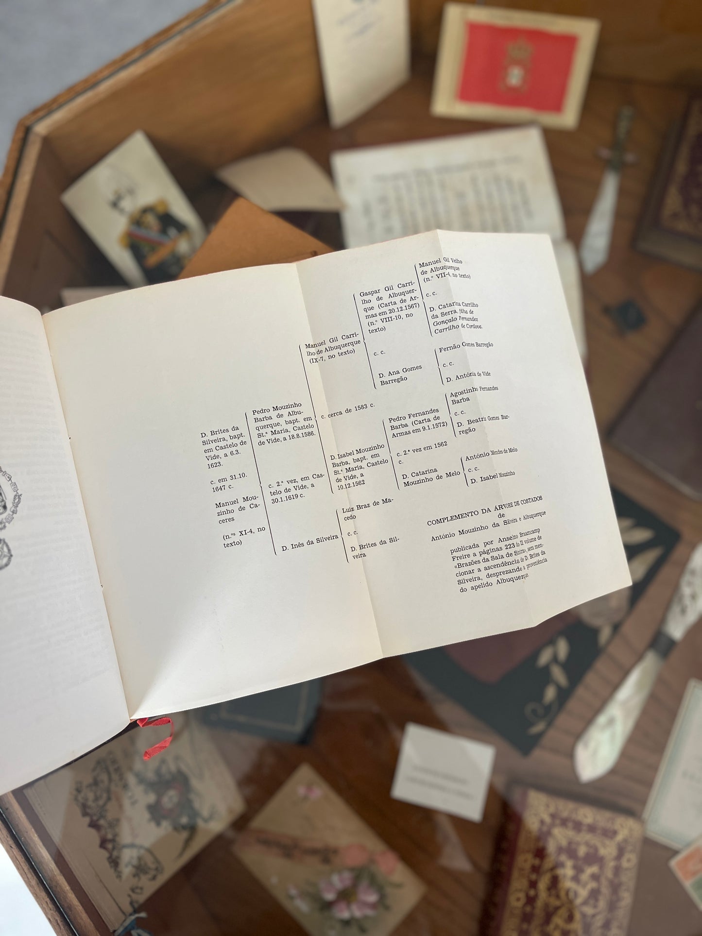 MOUZINHO DE ALBUQUERQUE