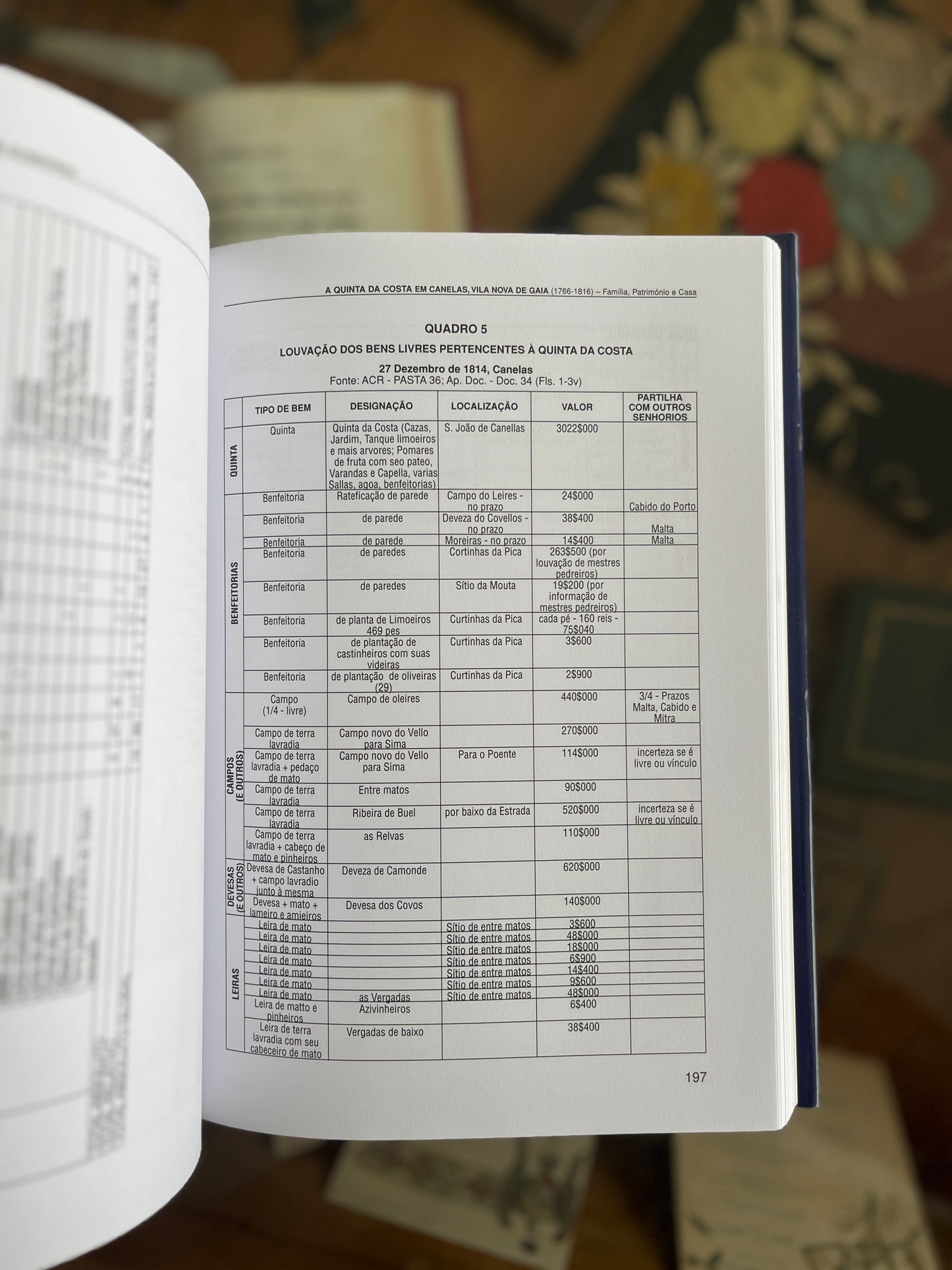 A QUINTA DA COSTA EM CANELAS
