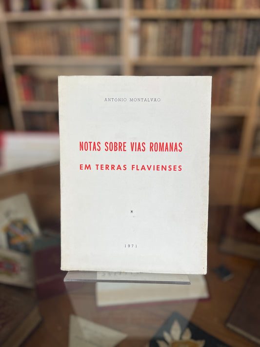 NOTAS SOBRE VIAS ROMANAS EM TERRAS FLAVIENSES