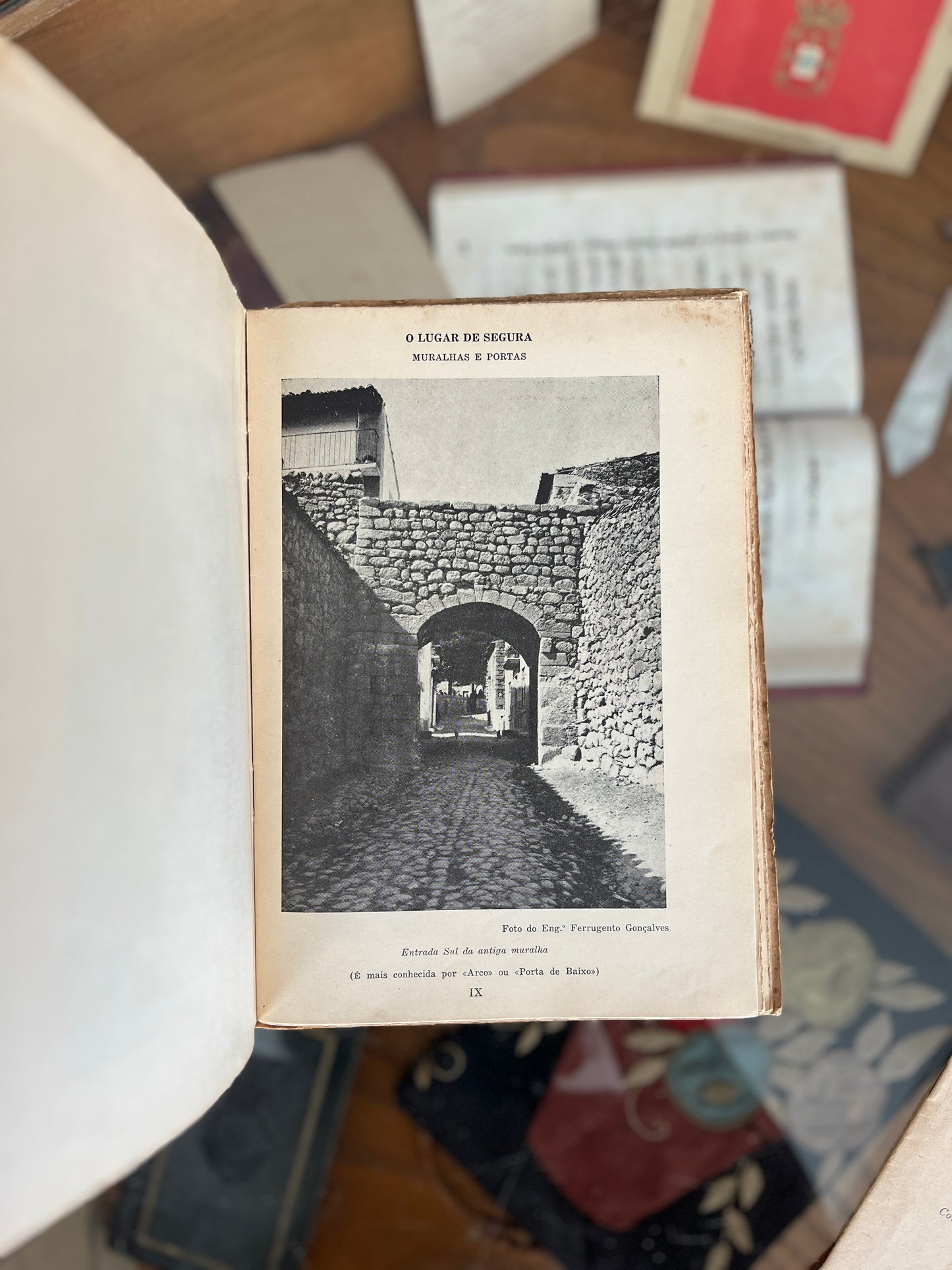 SUBSÍDIOS PARA A MONOGRAFIA DE SEGURA