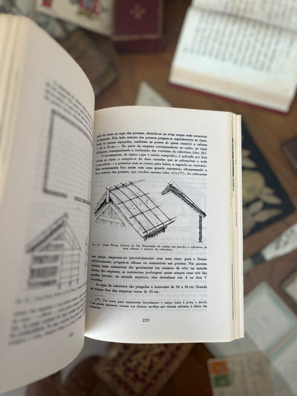 CONSTRUÇÕES PRIMITIVAS EM PORTUGAL