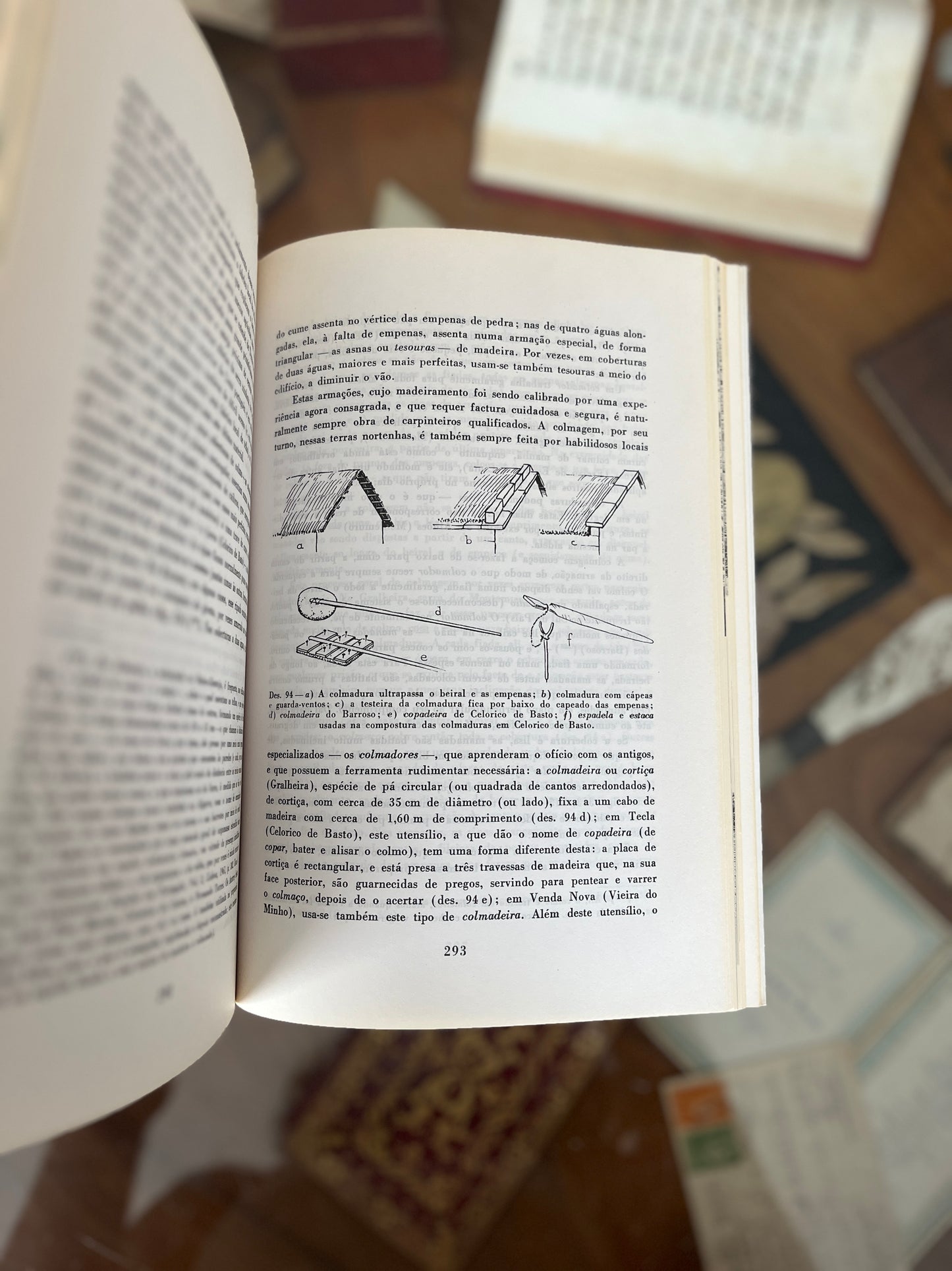 CONSTRUÇÕES PRIMITIVAS EM PORTUGAL