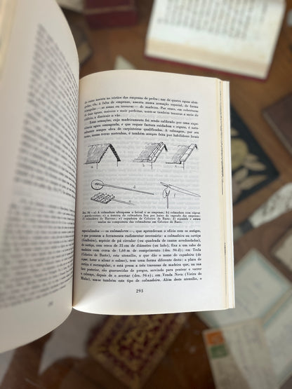 CONSTRUÇÕES PRIMITIVAS EM PORTUGAL