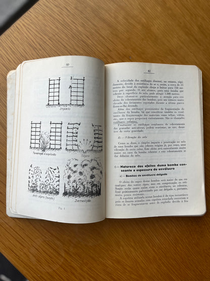 MANUAL BÁSICO - LEGIÃO PORTUGUESA