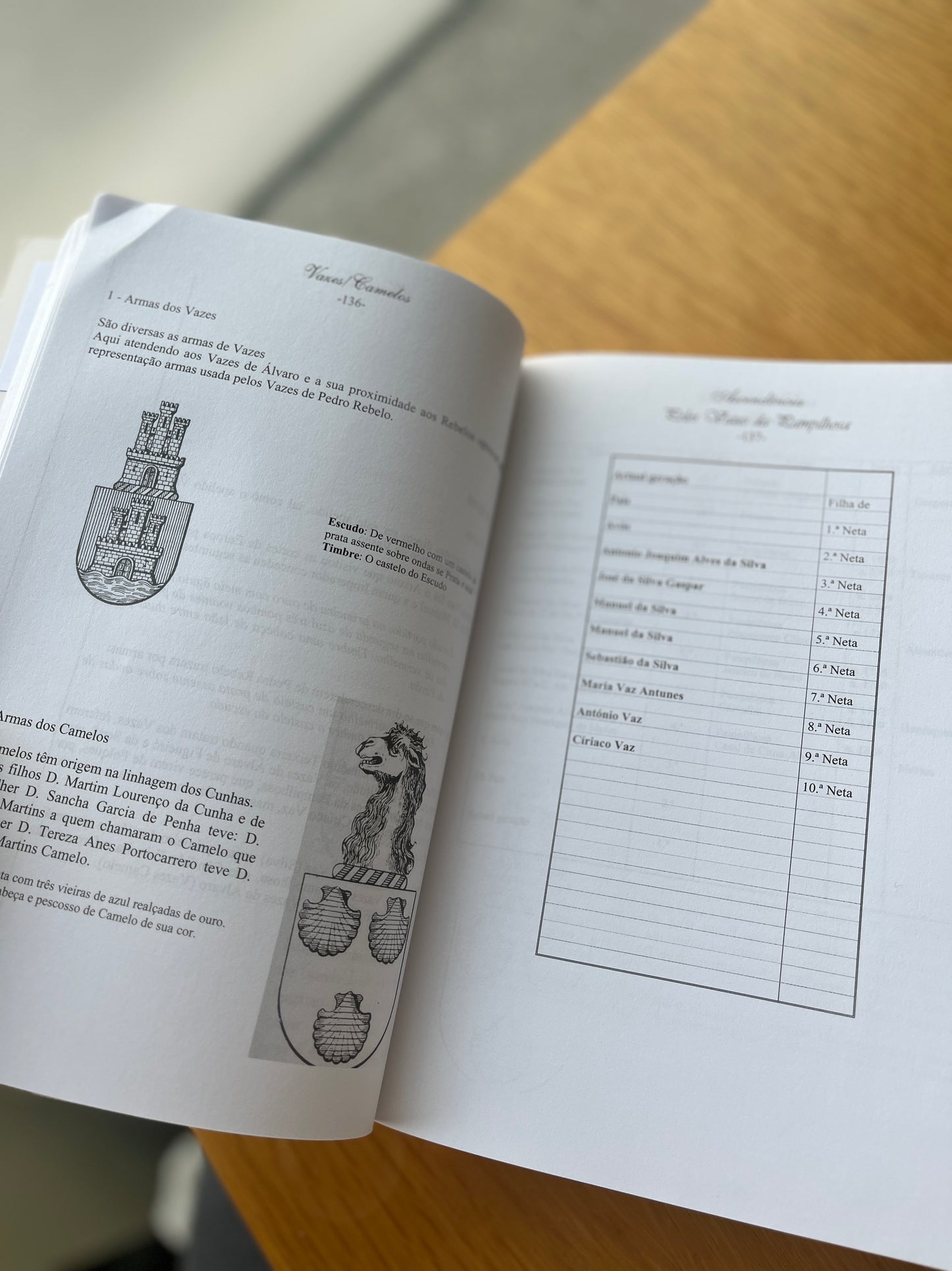 MEMÓRIAS E RAÍZES DA FAMÍLIA HENRIQUES DA SILVA