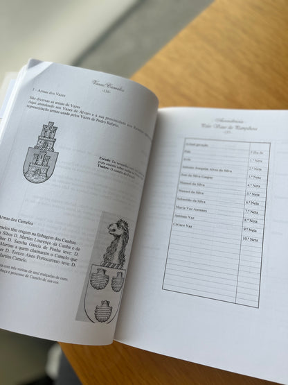 MEMÓRIAS E RAÍZES DA FAMÍLIA HENRIQUES DA SILVA