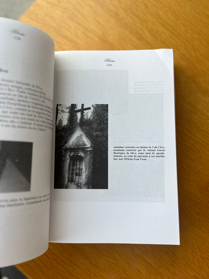 MEMÓRIAS E RAÍZES DA FAMÍLIA HENRIQUES DA SILVA