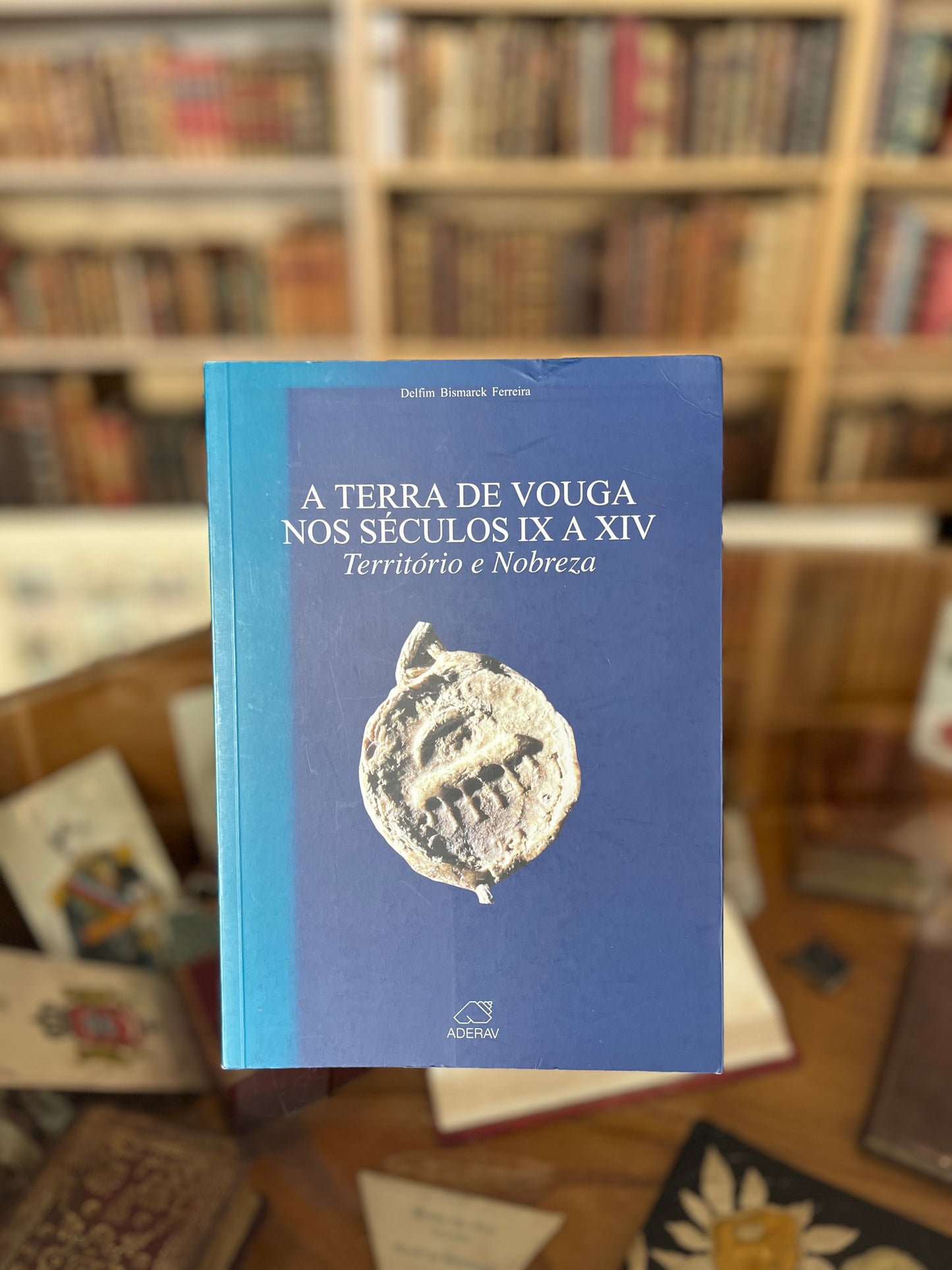 A TERRA DE VOUGA NOS SÉCULOS IX A XIV