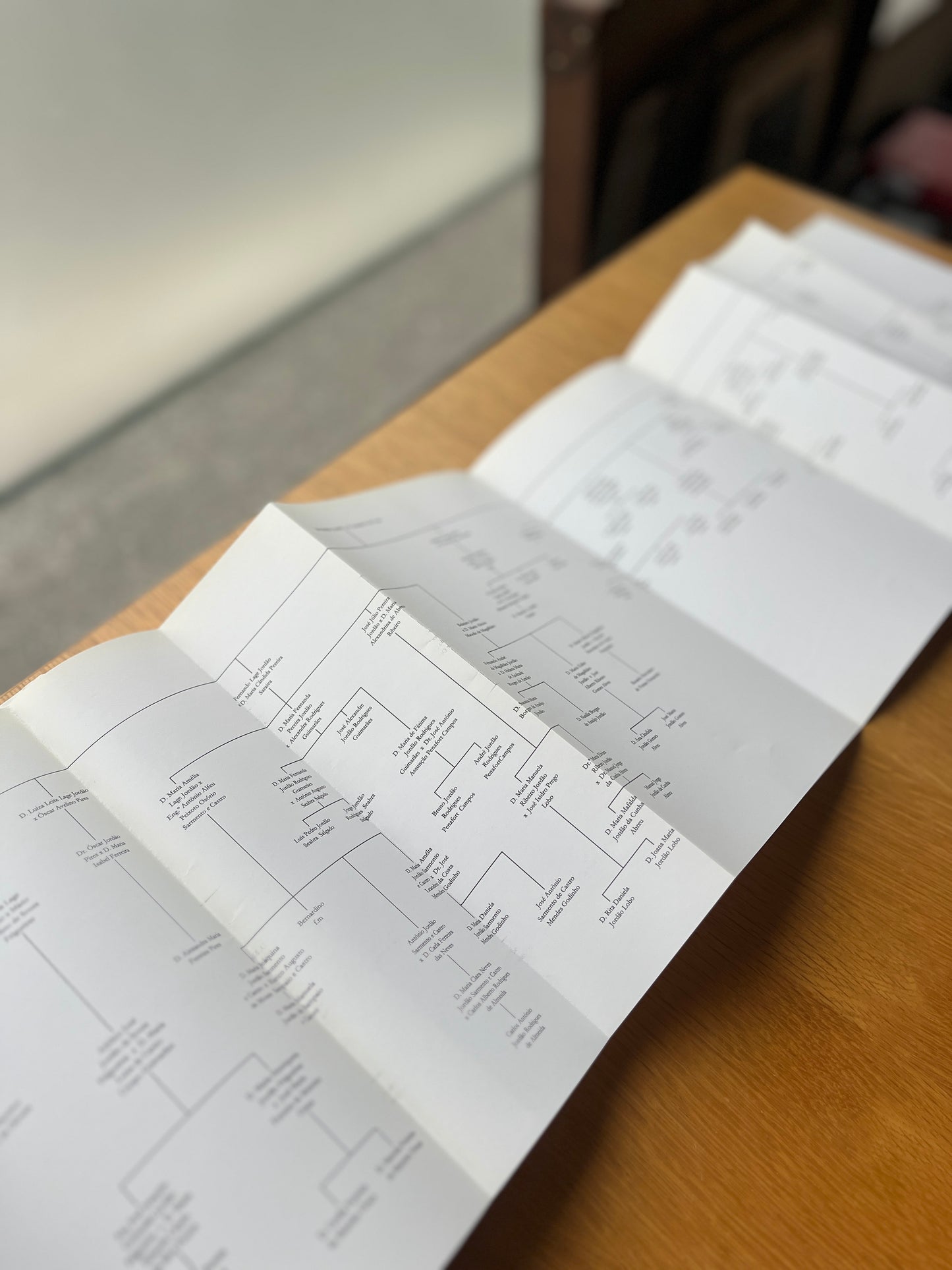 O PALÁCIO DE VILA FLOR EM GUIMARÃES