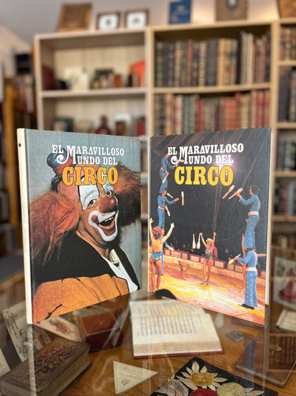 EL MARAVILLOSO MUNDO DEL CIRCO